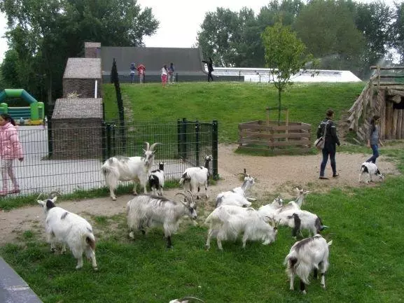 Natuur / Milieu / Duurzaamheid