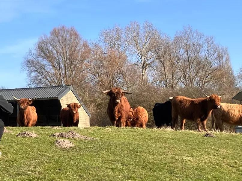 Natuur / Milieu / Duurzaamheid